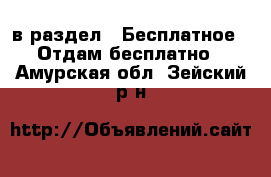  в раздел : Бесплатное » Отдам бесплатно . Амурская обл.,Зейский р-н